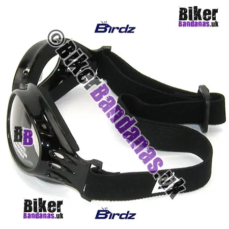 Side view of Birdz Eyewear Ostrich Folding Goggles - Black / Clear