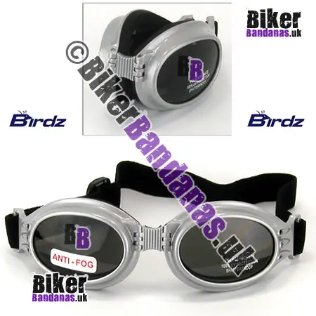 Front view of Birdz Eyewear Ostrich Folding Goggles - Silver / Smoke