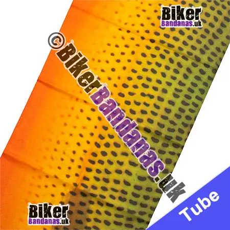 Fabric view of Rainbow Eel Neck Tube / Multifunctional Headwear / Neck Warmer