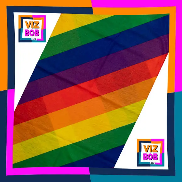 Fabric view of Wide Diagonal Rainbow Stripes Neck Tube Neck Tube Bandana / Multifunctional Headwear / Neck Warmer